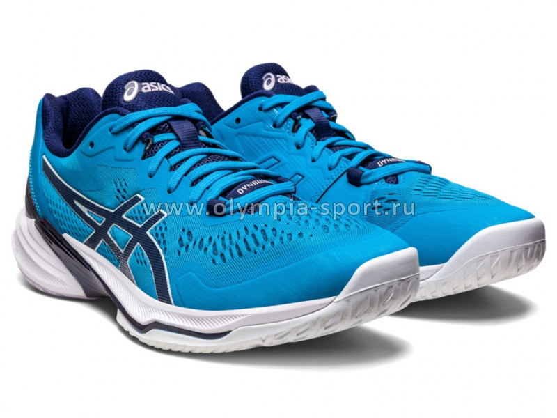 Обувь спортивная Asics SKY ELITE FF 2